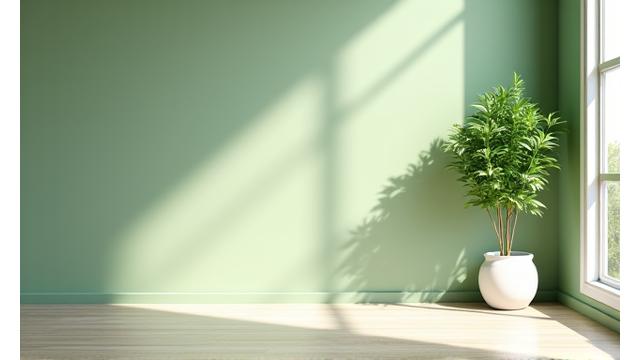 밝고 건강한 인테리어 페인트가 적용된 거실